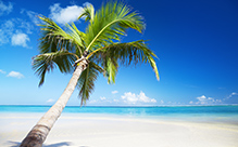 Caraibi